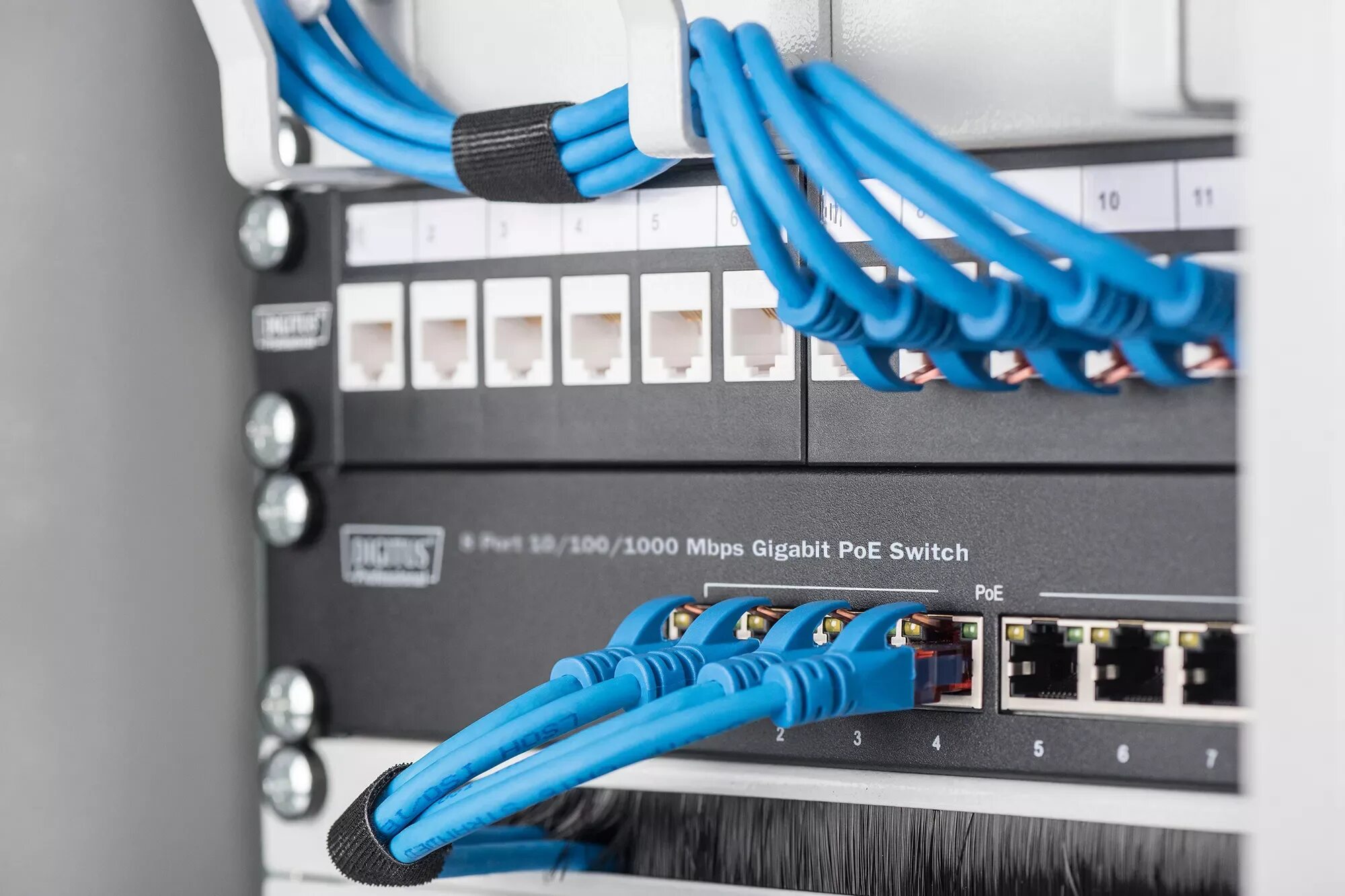 Port switching. Порт гигабит ethernet. digitus 8-port switch. коммутаторы с 10 gigabit ethernet. кабель менеджмент.