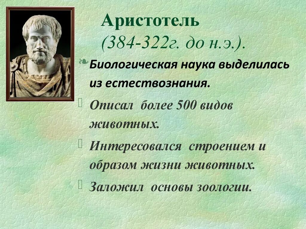 Аристотель цитаты. Аристотель (384–322 до н. э.) — древнегреческий философ.. цитаты аристотеля о философии. жизнь и философия аристотеля.