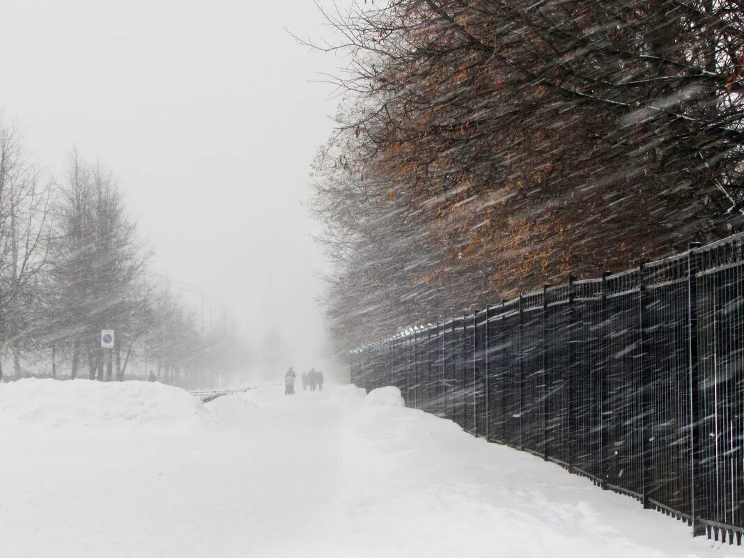 Зимняя вьюга разбор. Вьюга в Петербурге. Метель в городе. Метель в городе СПБ. Снежная буря в городе.