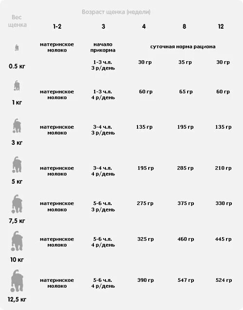 Щенку 5 недель. Схема кормления щенка. Прикорм щенков в 3 недели таблица. Первый прикорм щенков схема. Прикорм щенков с 1,5 месяца.