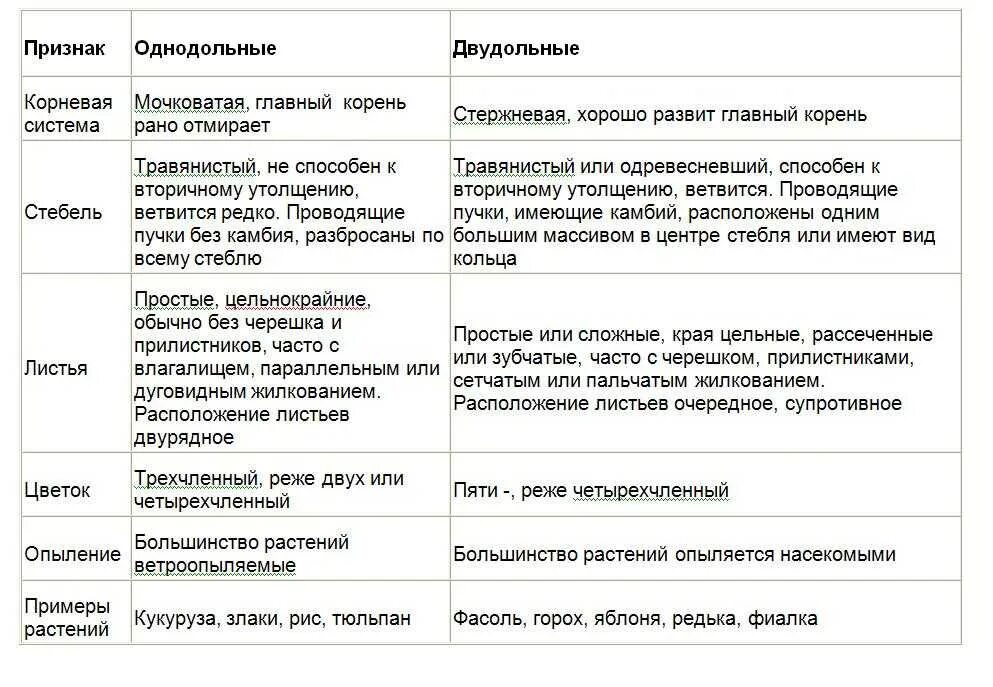 Признаки однодольных и двудольных растений таблица. Характеристика однодольных и двудольных растений таблица. Сра́внительная таблица однодольных и двудольных растений. Характеристика классов однодольных и двудольных растений таблица.