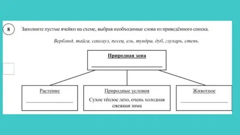 Рассмотрите схему и заполните пустые ячейки
