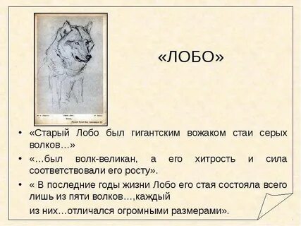 Главная мысль произведения волк