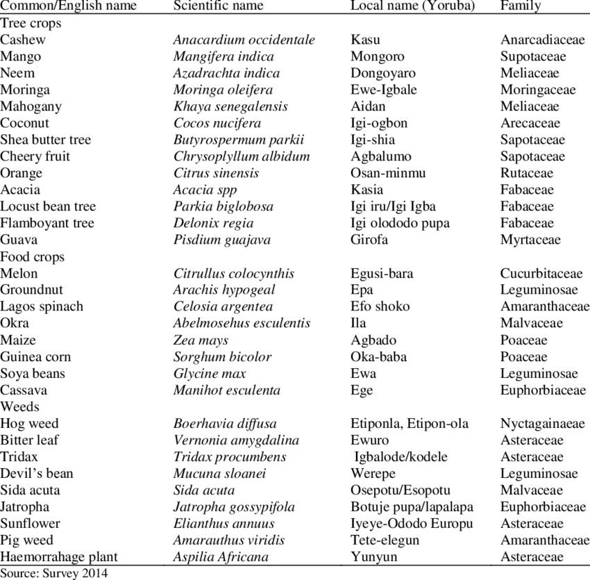 Конкурсы на английском языке перевод. English names текст. Common English names.