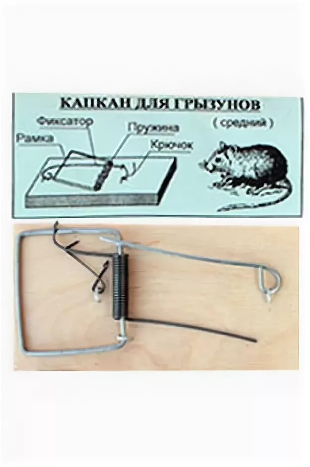 Как установить мышеловку деревянную инструкция