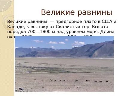 Назовите самую большую равнину
