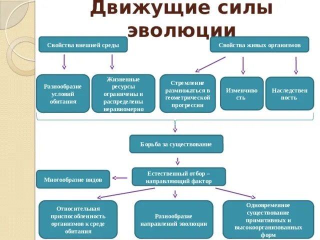 Схема движущие силы и факторы эволюции. Эволюция движущие силы эволюции. Факторы движущие силы эволюции. Виды движущей силы эволюции.