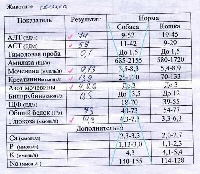 Показание алт крови. Биохимический анализ крови показатели нормы. Норма анализа крови у женщины биохимия. Показатели алт АСТ нормы для детей. АСТ В биохимическом анализе крови у детей норма.