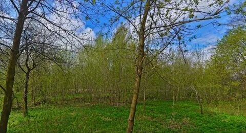 Город ярославль участка