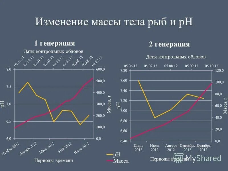 Автогенерация документов. Генерация даты. Генерация даты. Генератор дат. Генерация даты.