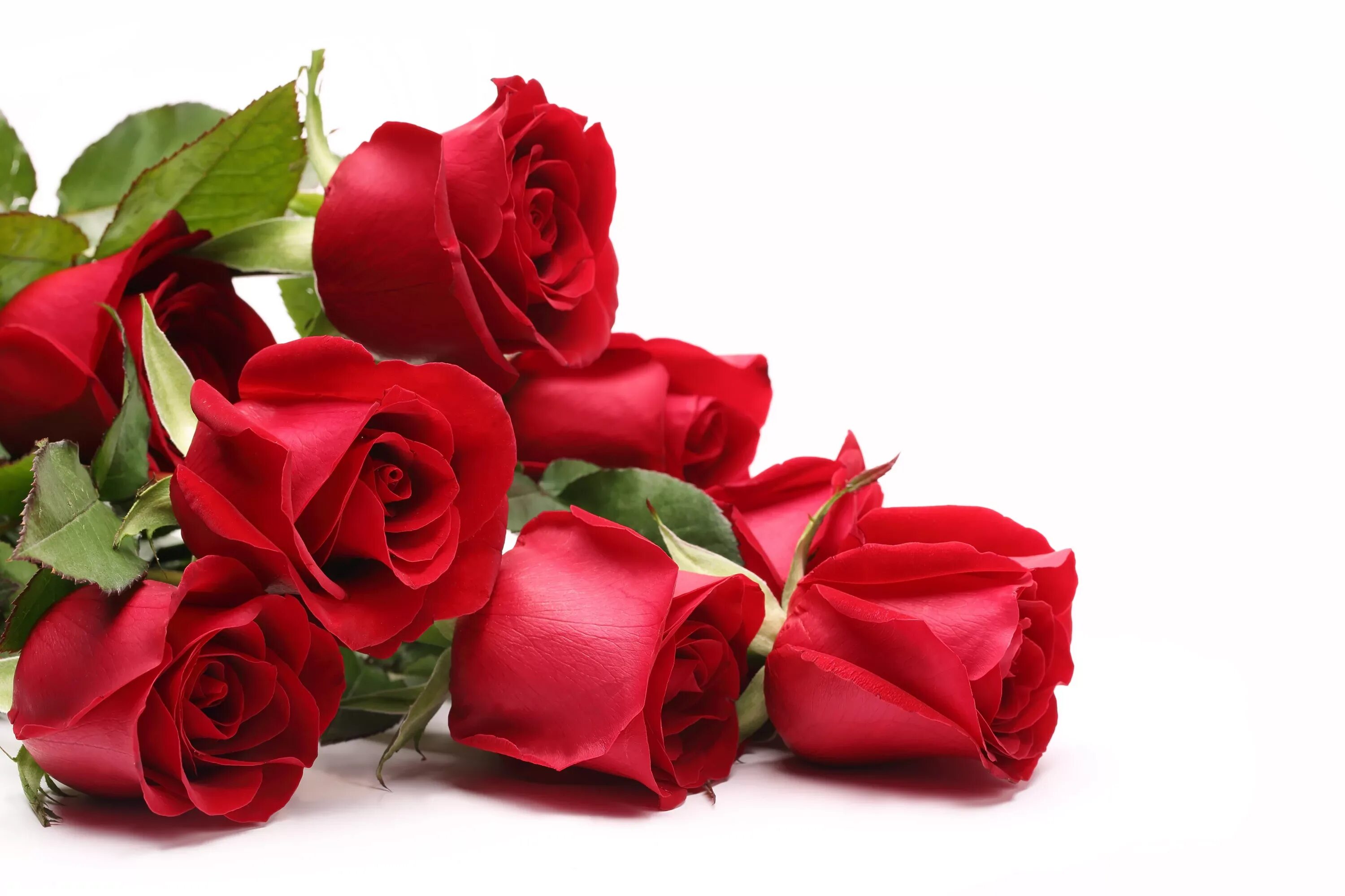 Картинка с днем рождения женщине в марте. Открытки с розами. С днем рождения розы. Цветы поздравления. Красные розы открытка.