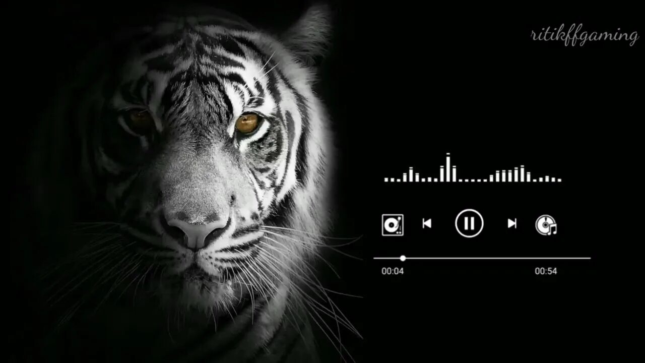 Tiger рингтон. Tigers roar 2005. Ярость тигра. Обои на айфон тигр. Тик ток дикая львица.