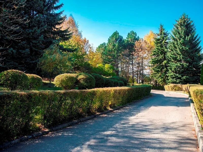 с. кирова". курортный парк кисловодск санаторий. санаторий солнечный иноземцево. санаторий кирова кисловодск.