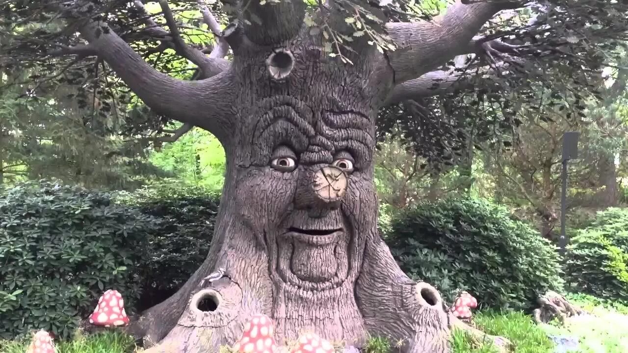 Дуб играть