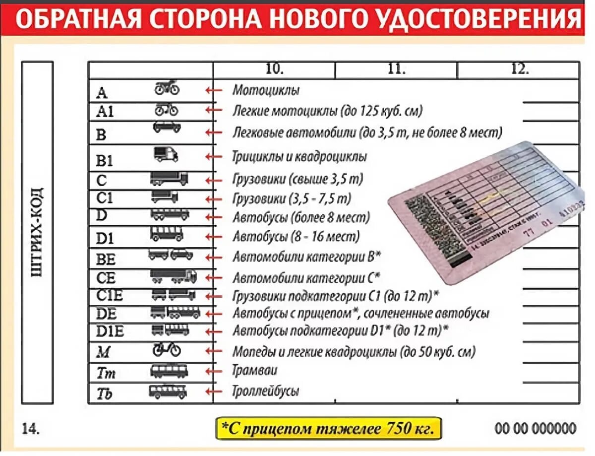 Работа с правами категории с. Категории водительских прав с расшифровкой в 2022. Расшифровка категорий водительского удостоверения 2022. Что такое категория в1 в водительском удостоверении.