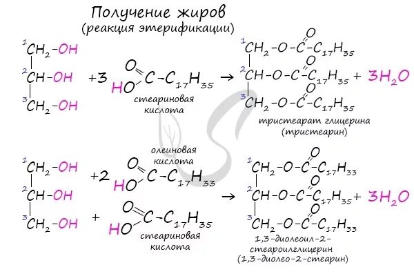 Глицерину соответствует формула. Получение жира из олеиновой кислоты. синтез дирп на основе олеиновой кислоты. реакция получения жиров. формула получения глицерина из жиров.