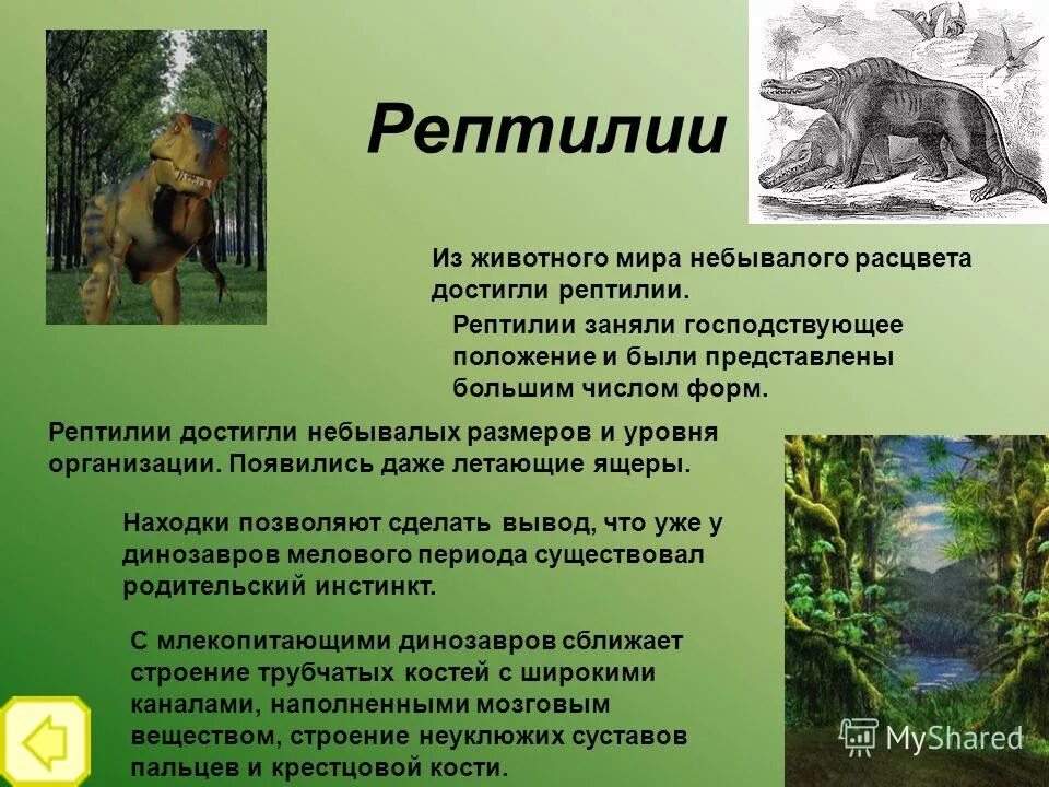 Достигла небывалых высот. Достигла небывалых высот