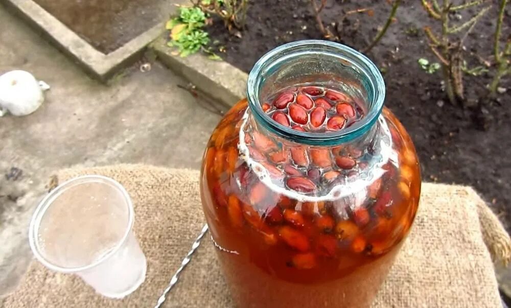 Настойка на самогоне польза и вред