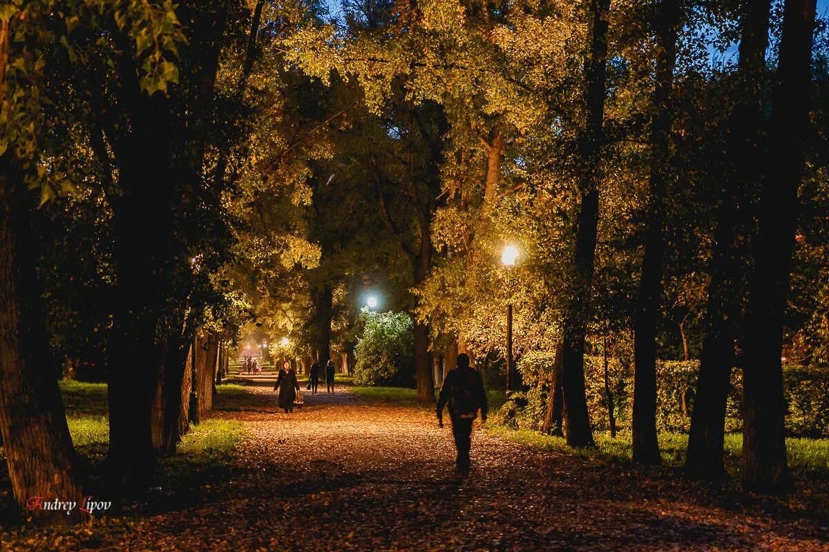 Вечером через парк. Липецк Вечерний парк летом. Осень парк. Вечерний осенний парк.