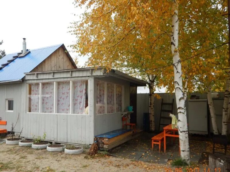 Авито лангепас недвижимость. Дача лангепас. Астра в лангепасе садовое товарищество. Дачи рябинушка лангепас. Лангепас дачи астра.