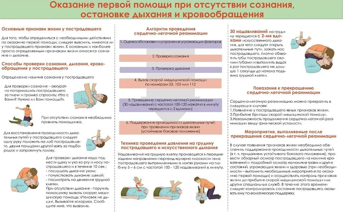 Методическое пособие первая помощь. Сердечно-легочная реанимация алгоритм действий. Первая помощь при сердечно легочной реанимации алгоритм. Алгоритм действий при оказании первой медпомощи пострадавшему. Оказание первой помощи при отсутствии сознания остановке дыхания.