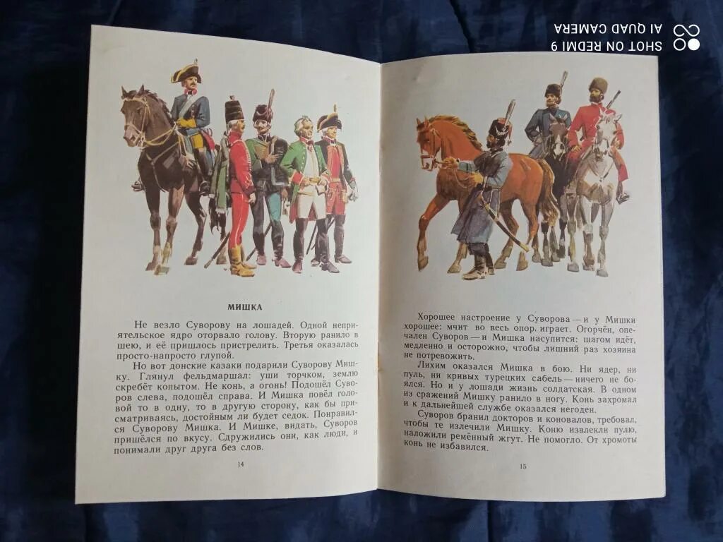 Рассказы о суворове. Алексеев рассказы о суворове. рассказы о суворове алексеев мишка. рассказы о суворове и русских солдатах.