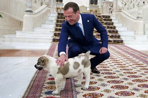Хозяин 7