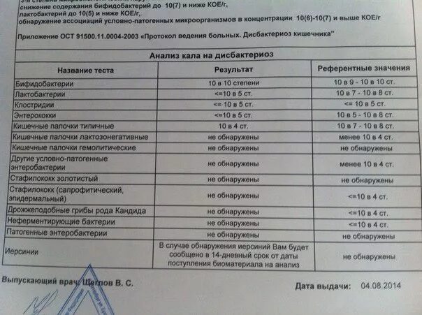 Бифидобактерии в кале. Анализ кала на бактерии. Норма бактерий в Кале у взрослого. Бактерии в Кале норма. Золотистый стафилококк в Кале норма.