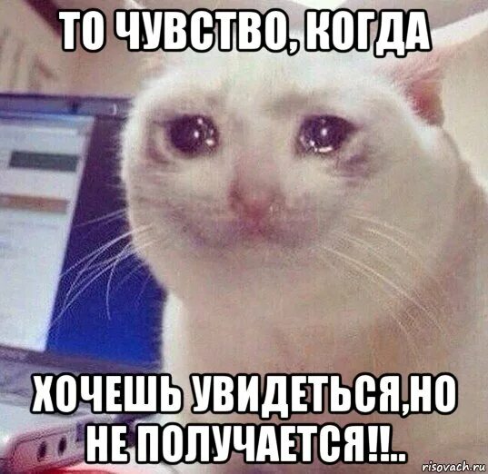 Хотя бы вижу