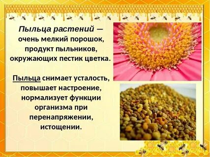 Пчелиные обножки свойства