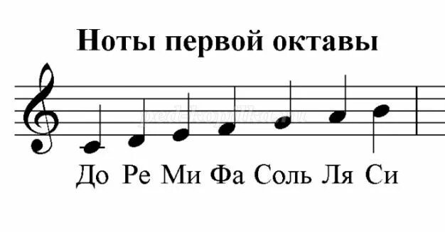 Ноты с названиями для начинающих. Нотный стан 1 Октава. Ноты 1 октавы на нотном стане. Расположение нот первой октавы на нотном стане. Ноты первой октавы на нотном стане.