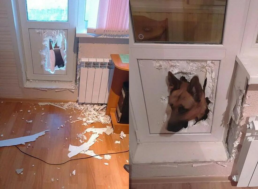 В комнате чтоб не скучно было нужны