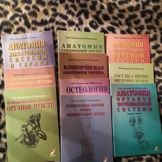 Методички гайворонского