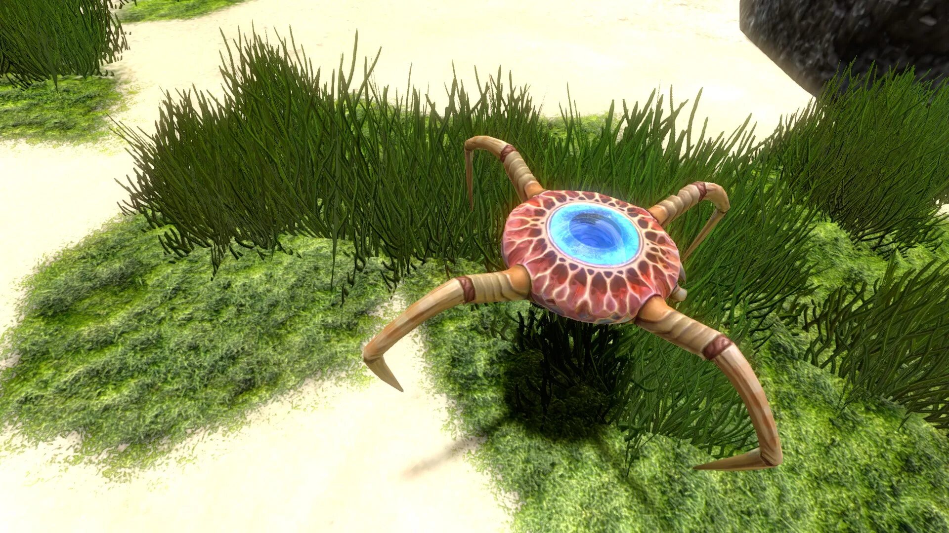 Cave crawler