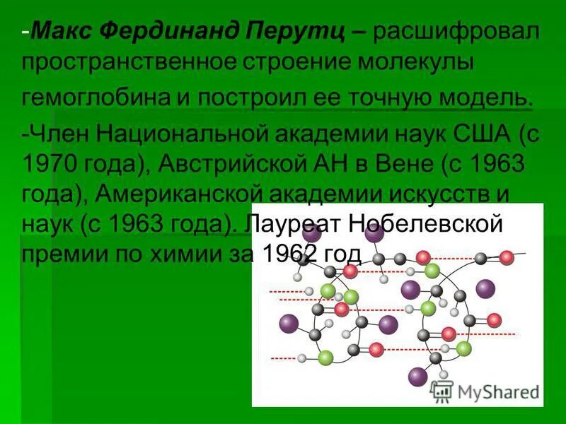 Белок высокомолекулярное соединение