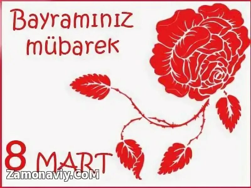 8 mart uchun she rlar