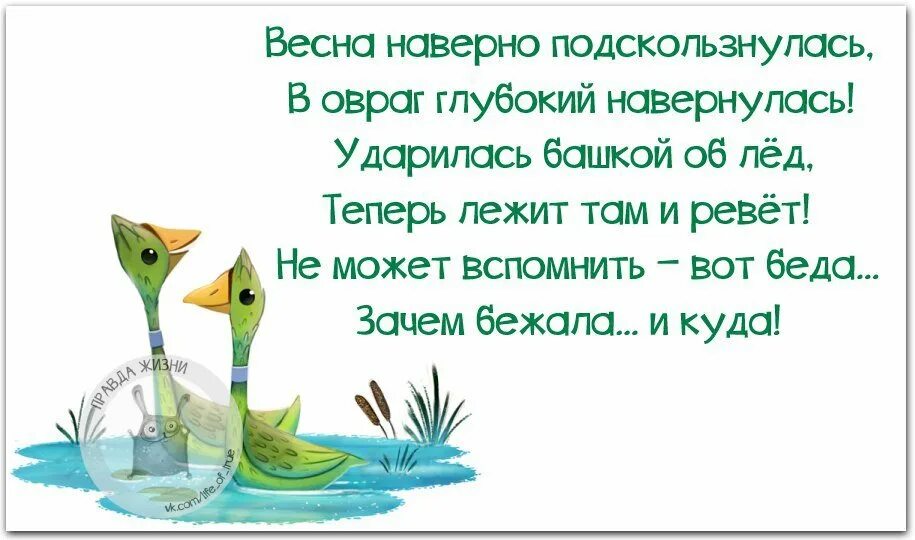 Как все навернулось. Как все навернулось