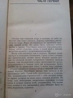 Звезды сверкали остро и холодно но небо