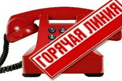Телефон горячей линии потребителя