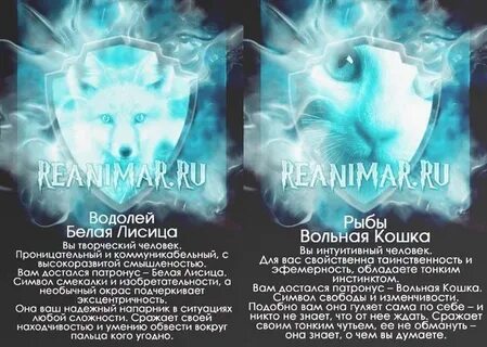 Тест твой патронус