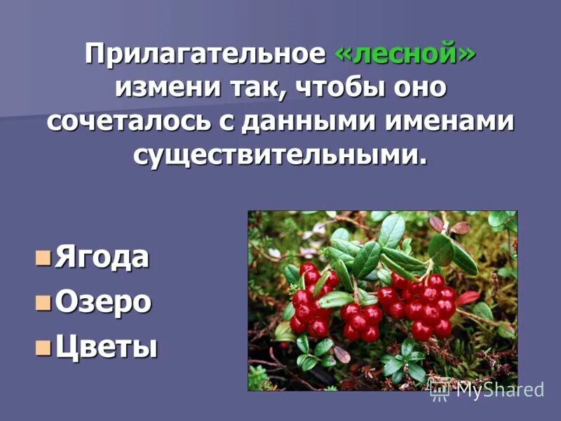 Исправив окончание. Имя прилагательное это часть речи которая обозначает. Что такое прилагательное?. Исправь окончание. Зима прилагательные.