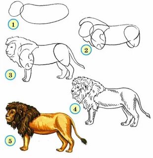 Как нарисовать животный