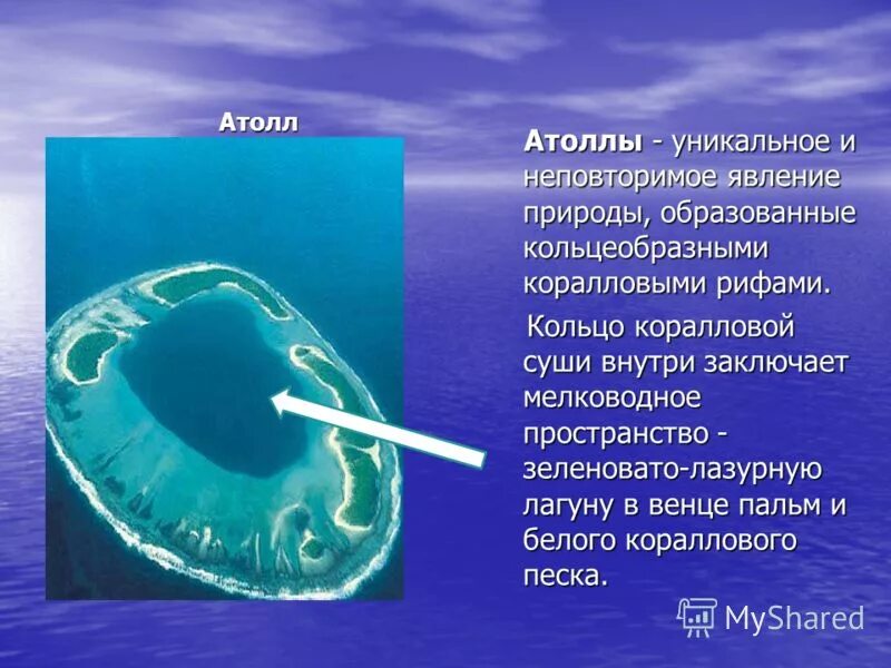 Коралловые острова кратко. Как образуются коралловые атоллы. Коралловые острова примеры. Атолл коралловый остров. Коралловые острова кратко.