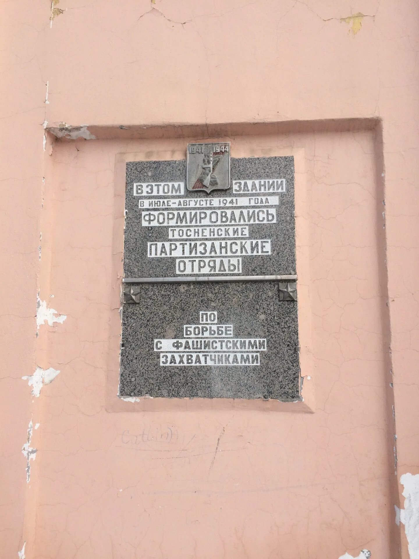 Тосненское гп
