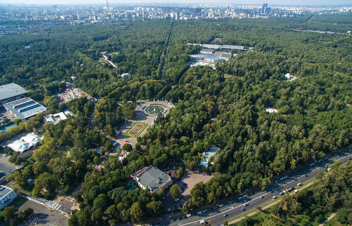 Stone sokolniki. Парк Сокольники. Лесопарк Сокольники. Парк Сокольники с высоты. ПКИО «Сокольники» в Москве.