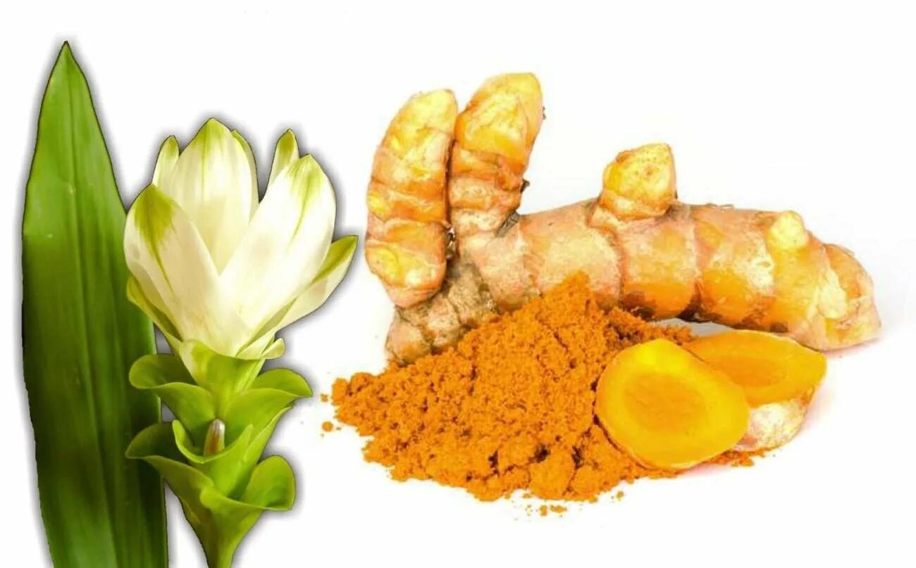 Куркума имбирное. Имбирь кардамон корица куркума. Корень имбиря лимон куркума. Куркума пряность. Куркума пряность.