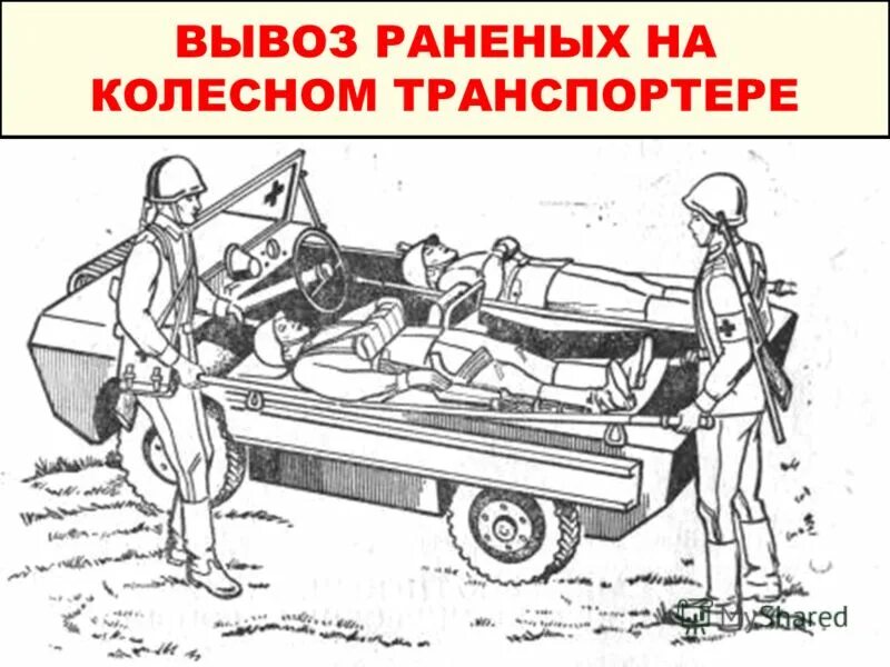 раненые украинские военные. вынос раненых с поля боя в годы вов. ездовые и санитарные собаки на войне. отряды собак в великой отечественной войне 1941. ездовые собаки великой отечественной войны.