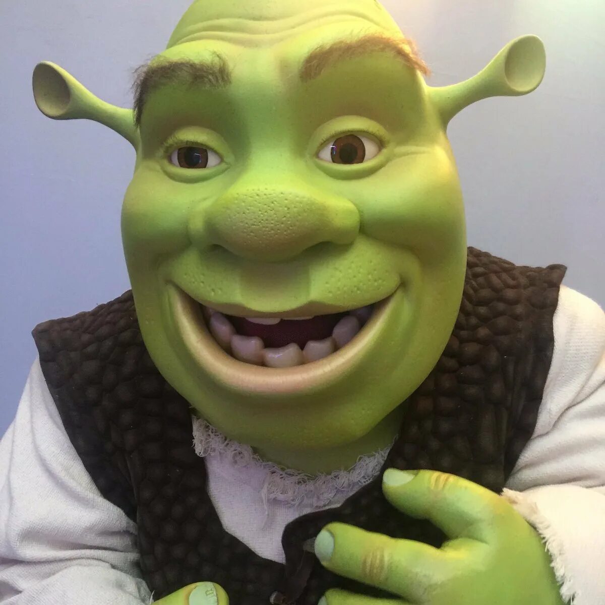 Shrek 1996. Шрек 1997. Шрек лицо. Шрек на аву. Милый шрек