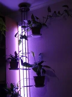 Подставки для подсветки цветов