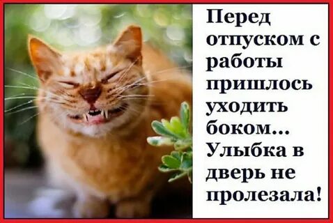 Последний день отпуска года